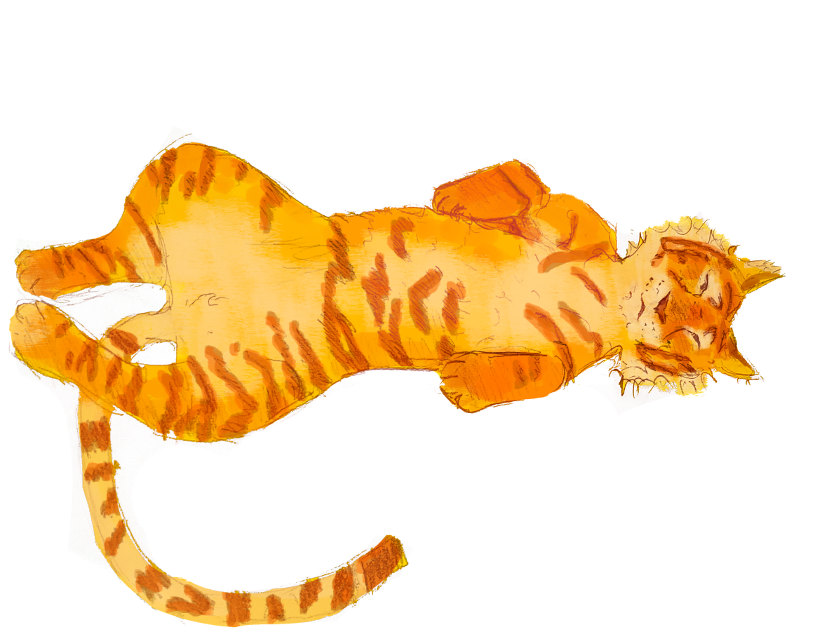 tiger_lying_on_side
